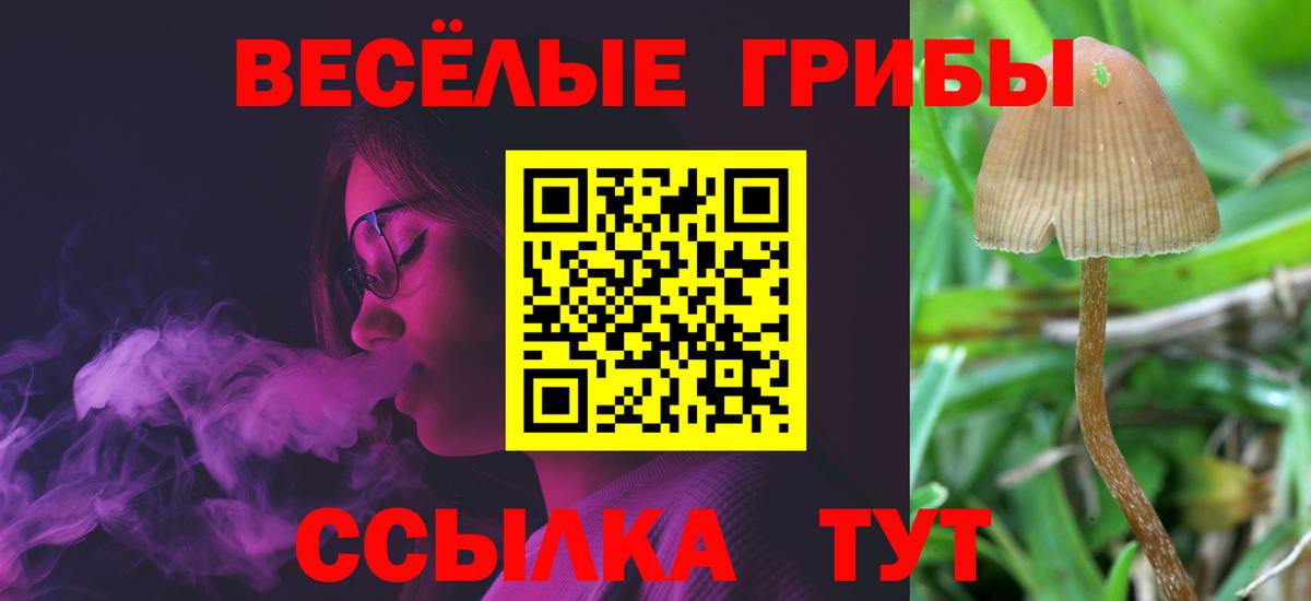 Псилоцибиновые грибы Psilocybine cubensis  Вход с VPN  Новозыбков 